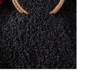 10 KG POIVRE NOIR DE MADAGASCAR